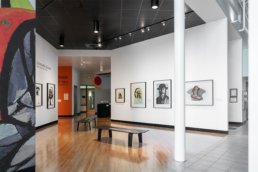 Leepa-Rattner Museum of Art 2